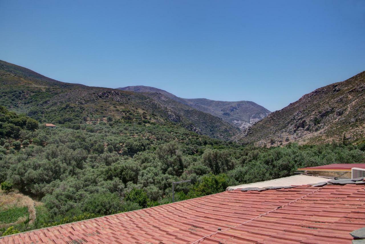 Traditional Cretan Country House Plokamianá Exterior photo